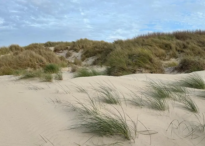 Appartement Plage Merlimont 10 Mn Berck Le Touquet Avec Jardin