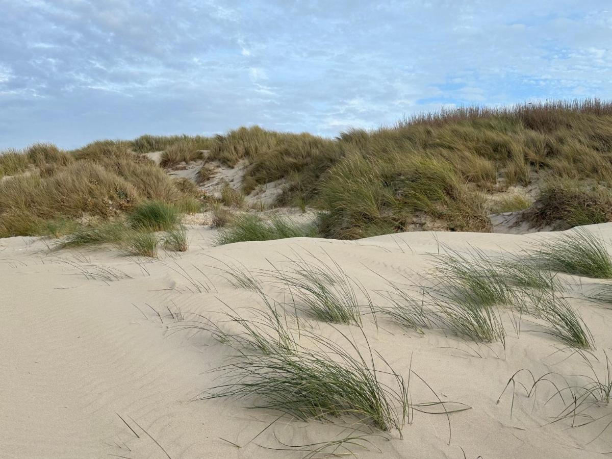Apartment 10 Mn Berck Le Touquet Avec Jardin *